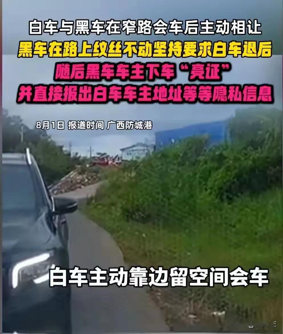 奔驰“亮证姐”说白了就是公权滥用。同在道路上行驶，为安全，本应互相让道通行，跟