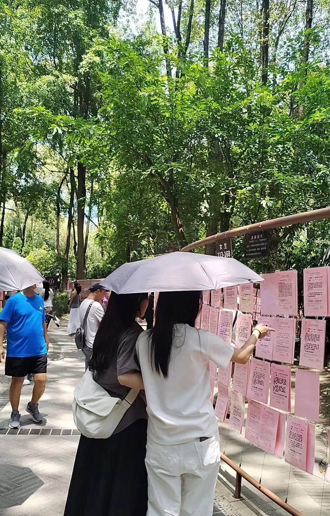 不知你们发现没有现在女孩找对象，是越来越清醒，越来越接地气。昨天相亲角