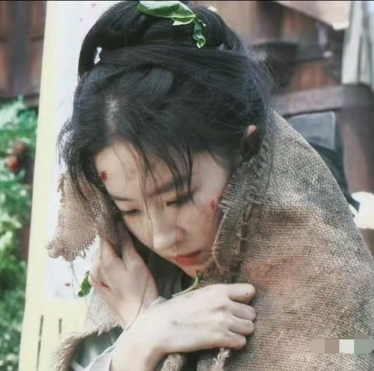 原来那句，只要人长得美披麻袋都好看，是从刘亦菲这里来的啊。这是她拍《梦华录