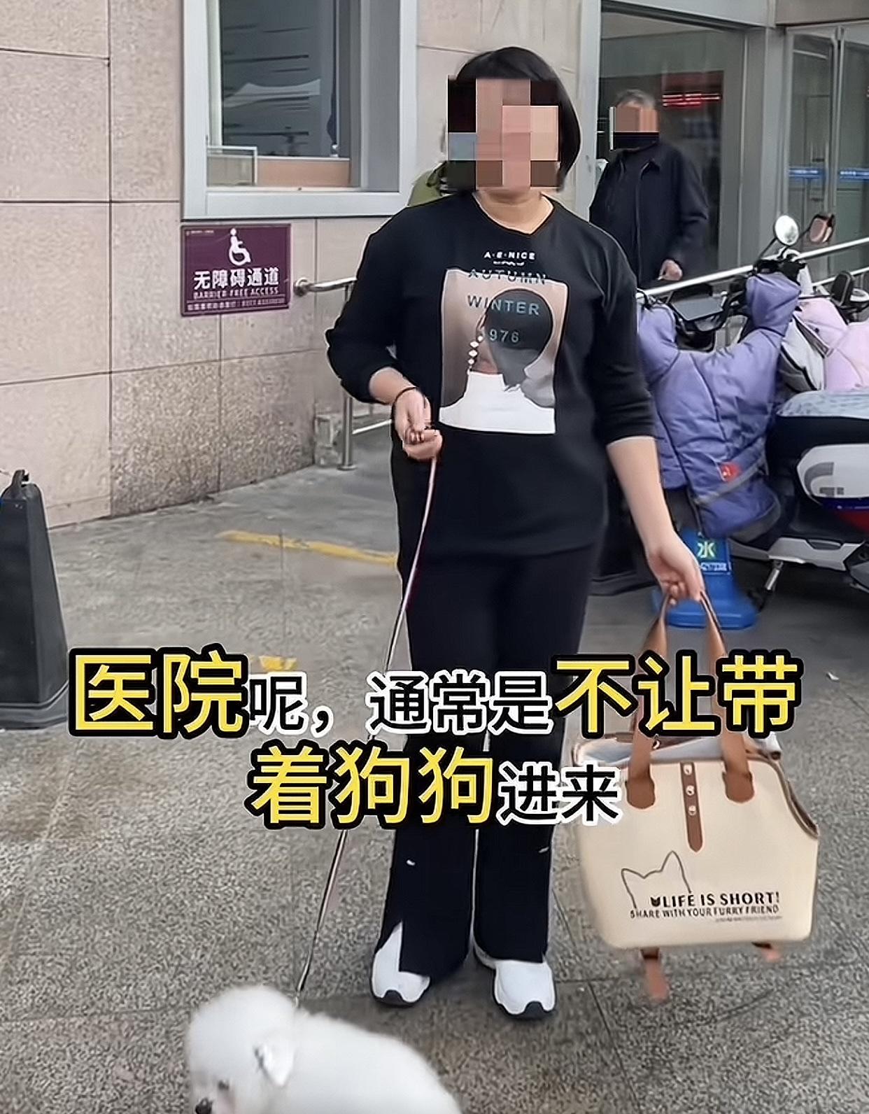 看到这一幕，养狗和不养狗的人都沉默了，这位博主明知道医院是人看病的地方，还故意要