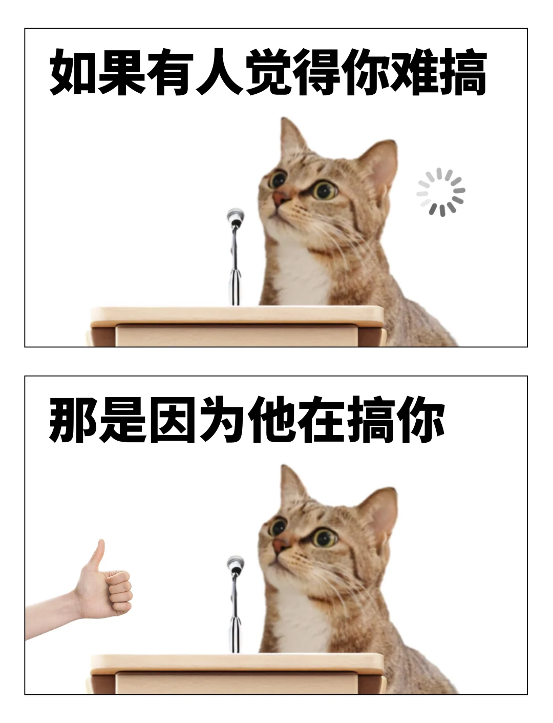 小猫教你看清pua套路