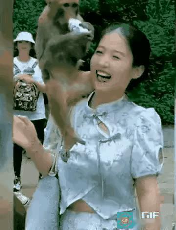 这猴猴真幸福