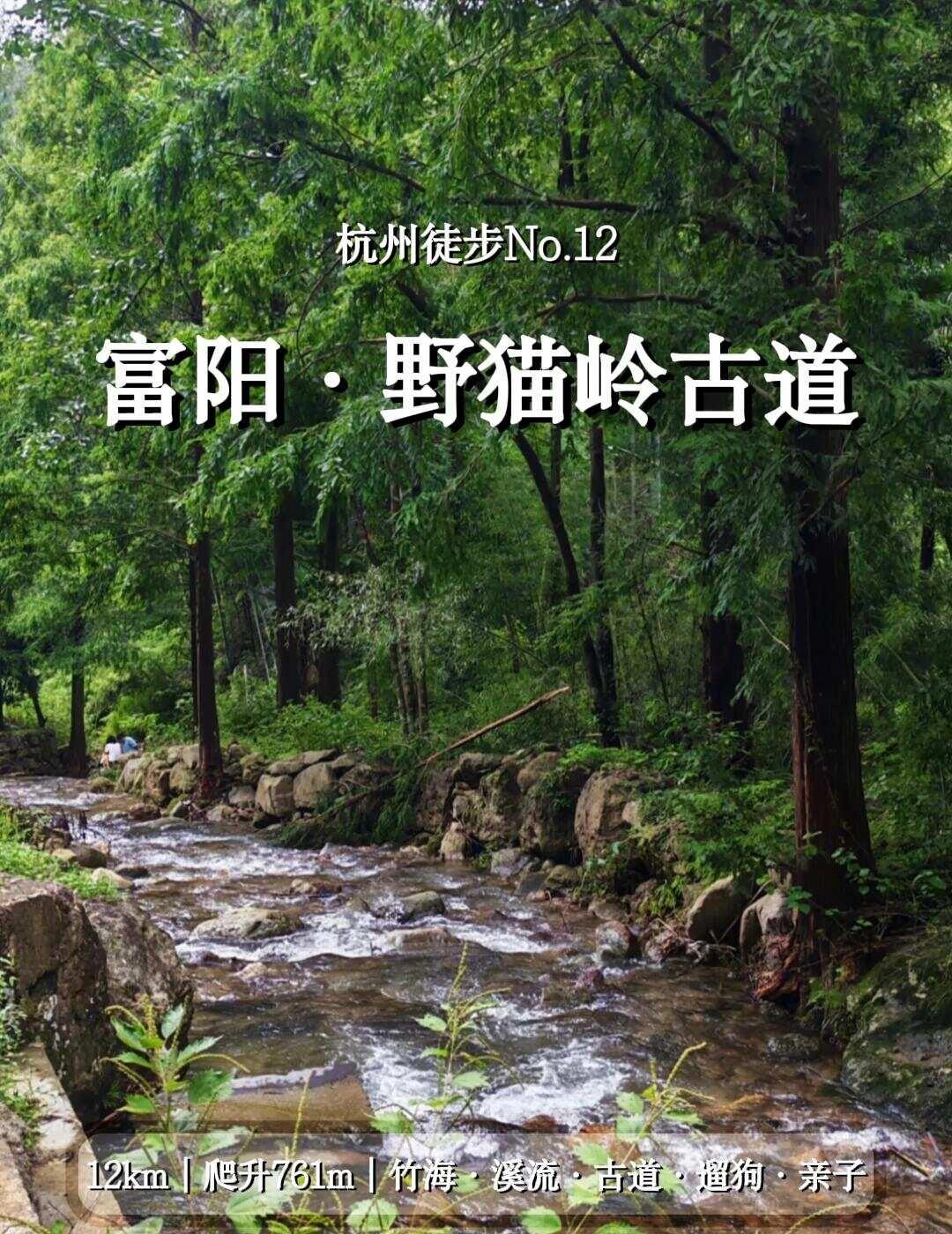 野猫岭古道大环线｜闯入杭州“小雁荡”📍定位：富阳常绿镇黄弹村｜导航仙人峰农庄