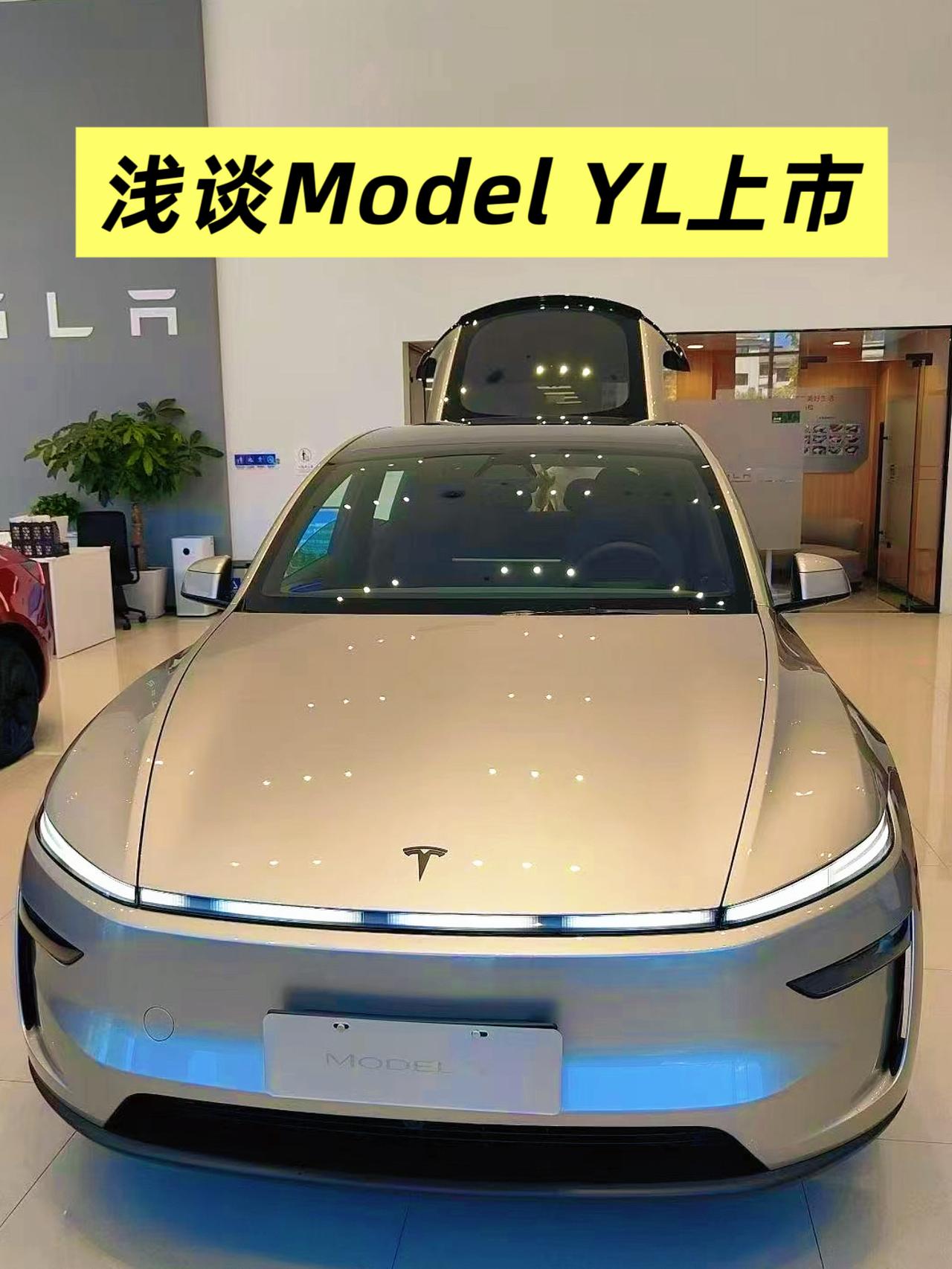 毫无竞争力，浅谈ModelYL上市