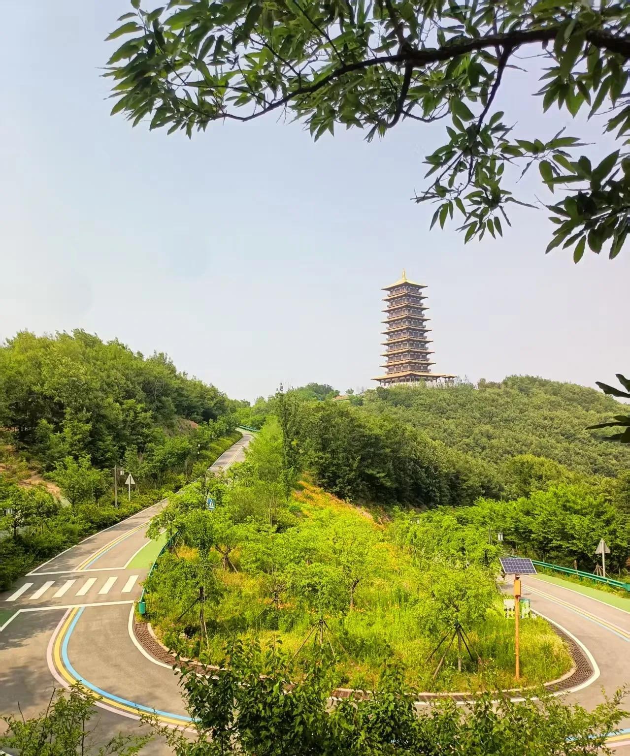 以前我都不知道“躺平”这个词什么意思？我更不知道世界上还有这么个群体存在。直到有