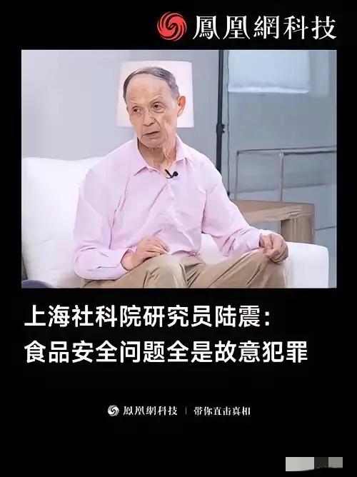 食品质量出问题，全都是故意犯罪！陆震一句话戳破真相！上海社科院研究员陆震直言：