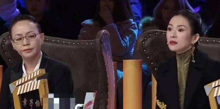 宋丹丹说：“2017年，我和章子怡在一个节目发生过矛盾，回到家里，我越想越气，就