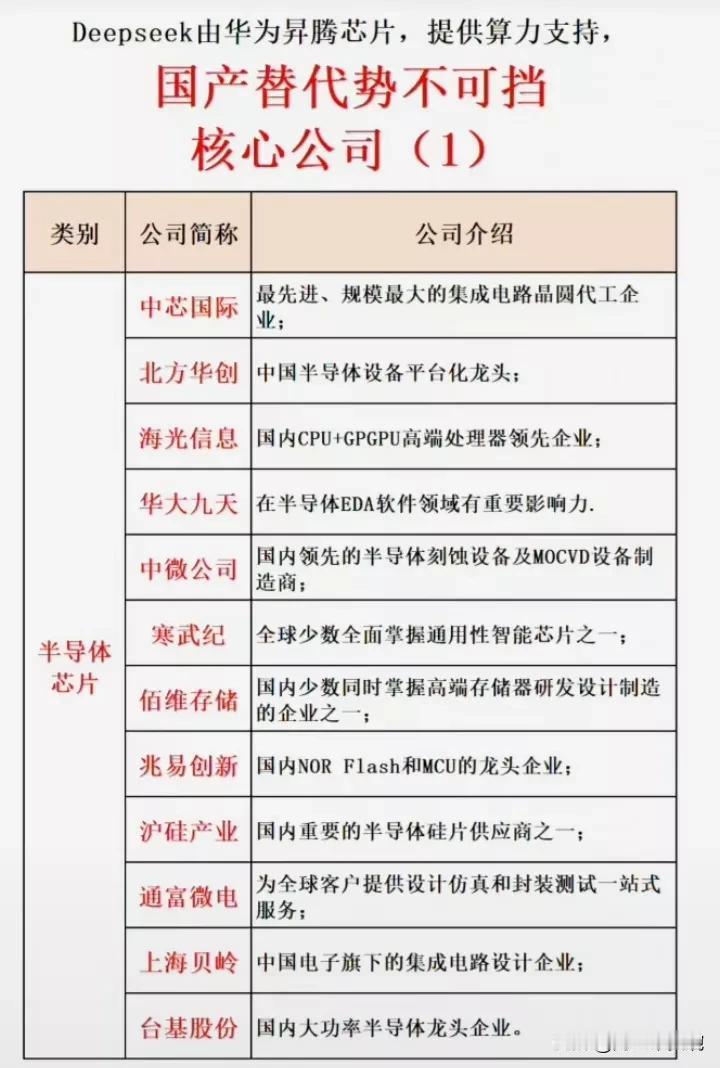 国产替代势不可挡！大科技，中国核心科技龙头企业盘点，芯片行业龙头代表：华大九