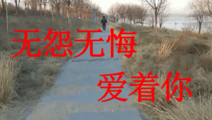无怨无悔爱着你简谱_爱上你无怨无悔的图片