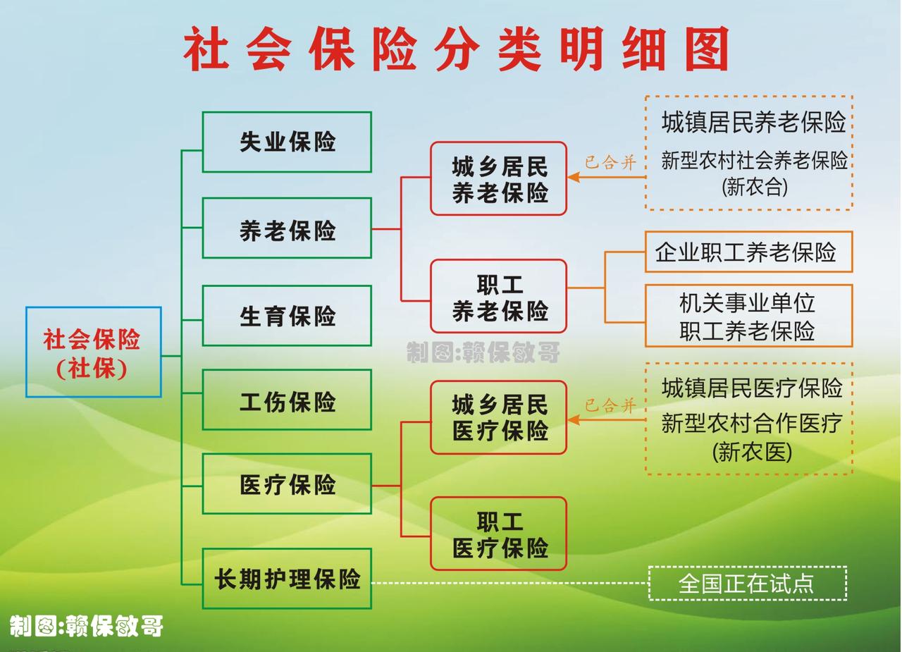 社保个人账户和统筹账户分清！别再以为交的钱全属于自己。很多人交了十几年社保