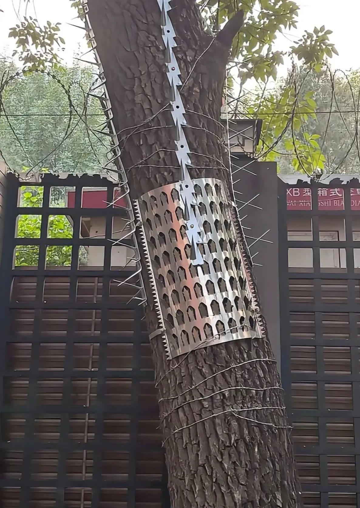 刚接到一个电话，我睡意全无。我哥打来的，说老家的堂哥走了，中暑走的，准确的是热