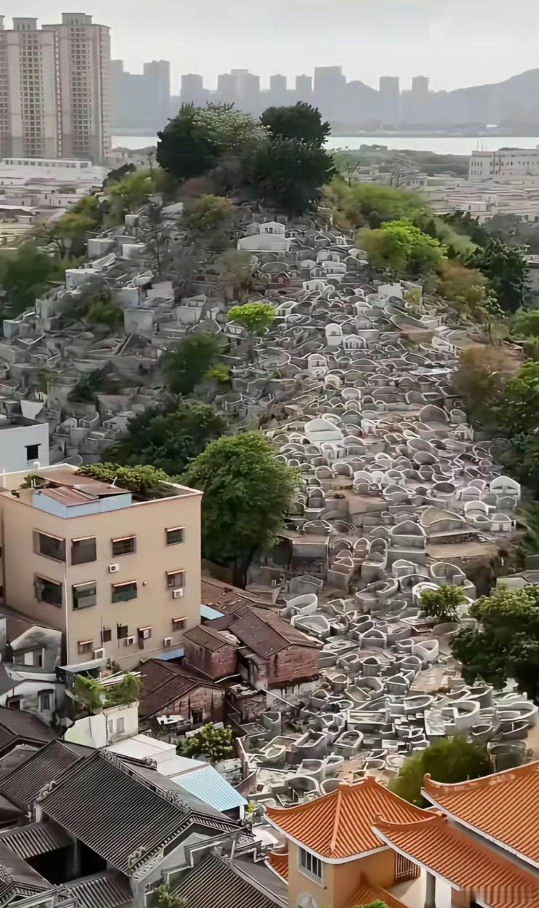 每年给你20万，你敢住这里吗？​​​