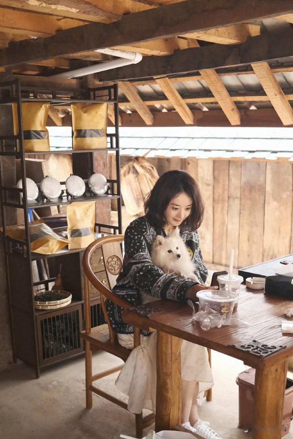 12月11日，赵丽颖下个月新剧开播，目前一点提前预热的意思都没有，有人为她着急！