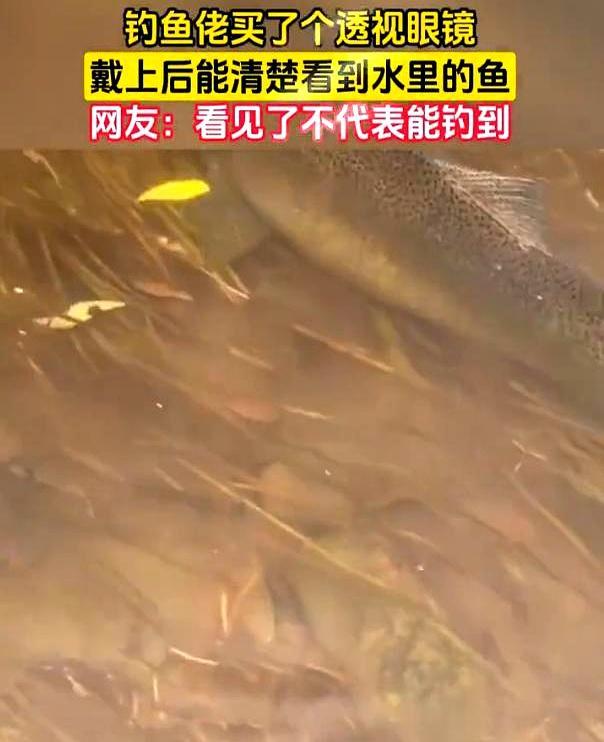 以前钓不到鱼还能怪天气怪水浑，现在连自我安慰的借口都找不到了。有钓友花99