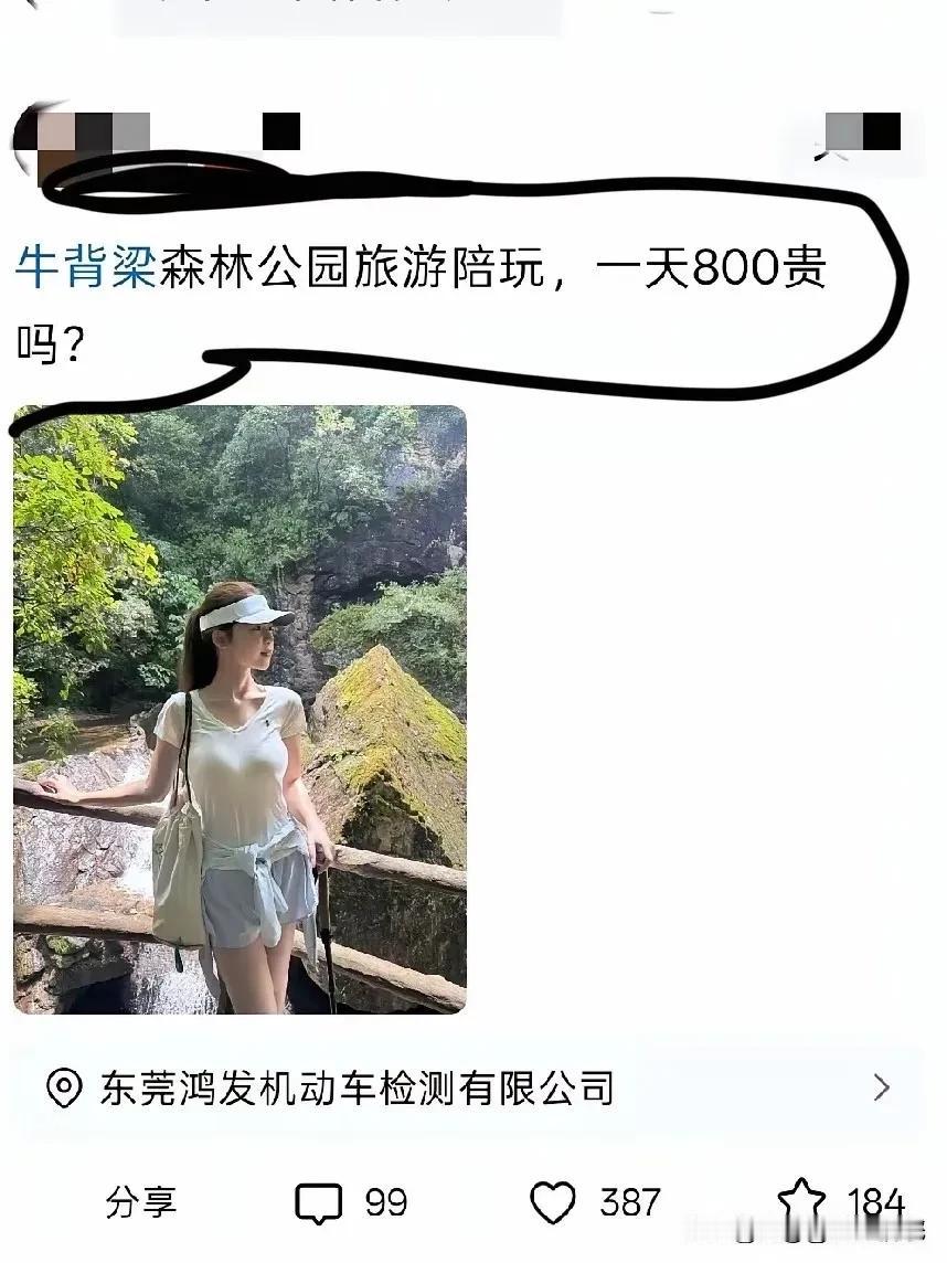 不是，这钱也太好赚了吧？