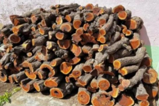 为什么枣木不能当柴烧？大部分树木死后都能当柴火烧，唯独枣树被农民们嫌弃，枣木和其