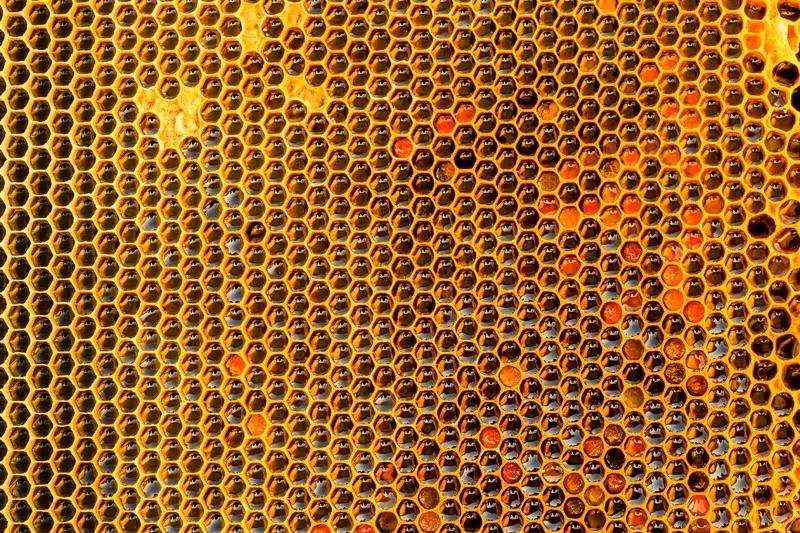 4月9日杭州的汪先生可真是经历了魔幻的一幕。他停车时忘了关车窗，就离开了15分钟