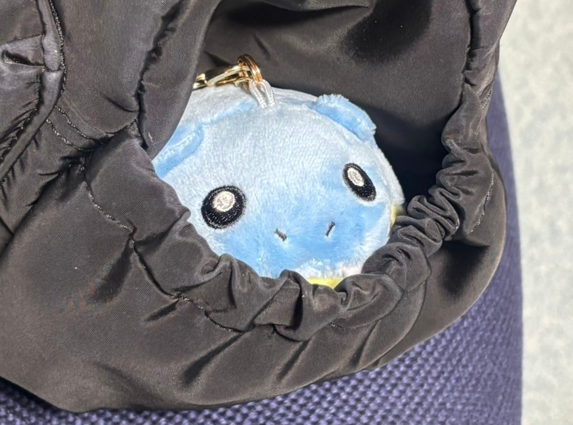 平尾帆夏「今回はポケだちのみなさんと「ぽこあポケモン」をプレイしました！私も