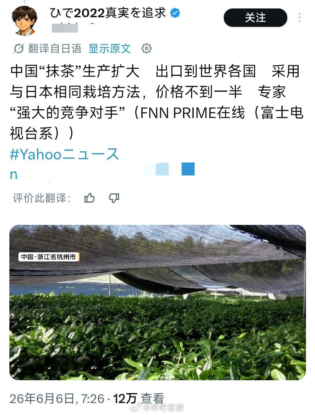 怎么抹茶也成“日本の宝”了，偷着偷着就理所当然了是吧？