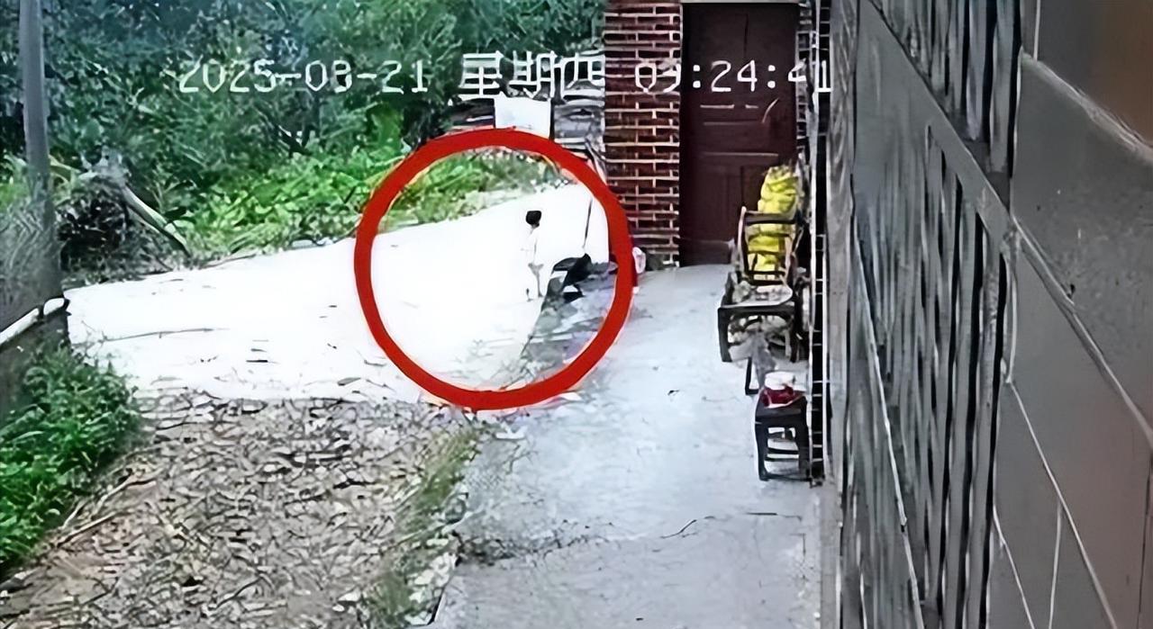 谢天谢地了，湖南新邵县大新镇两岁女童走失34小时，被无人机热成像在山林深处找到了