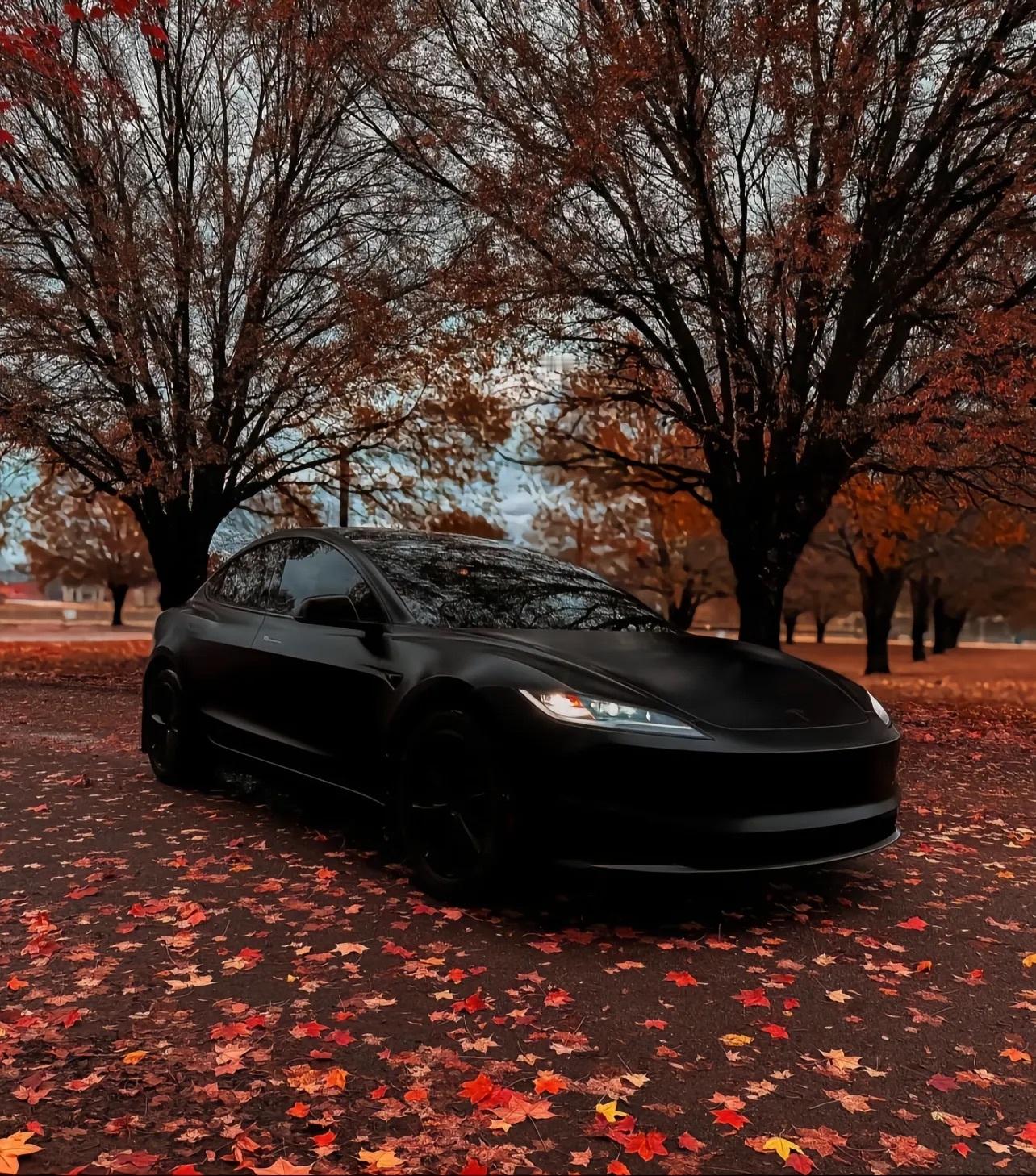 帅是一种感觉-特斯拉|Model3特斯拉汽车画报​​​