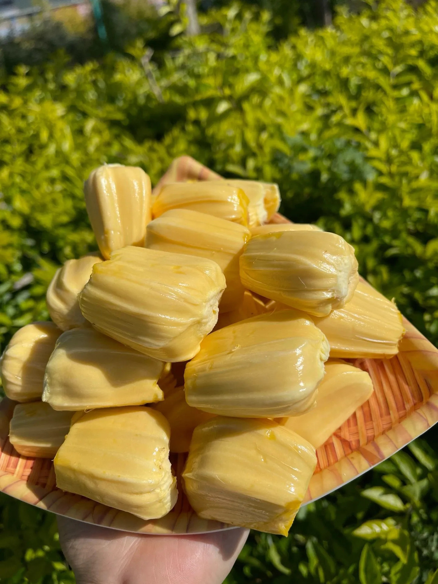 不知名的养耗碎碎念美食甜品蛋糕实时ss每日一善mrysygxy种植🔥