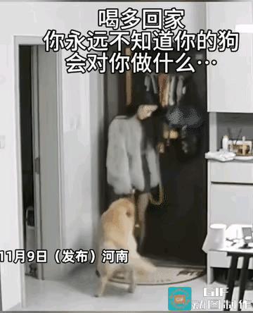 我懂了，怪不得女人那么喜欢养狗，还是狗懂得女人心，很会照顾女主人，而且不会烦人。