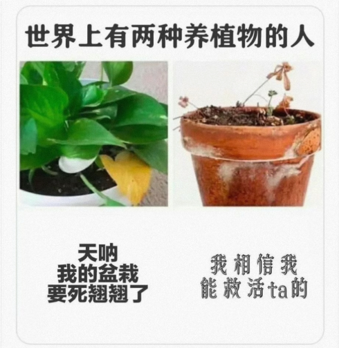 两种养植物的人