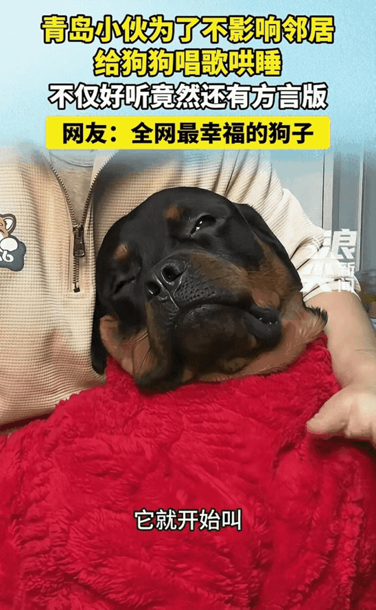 “太离谱了！”山东青岛，一名男子养了一只狗狗，由于狗狗一到晚上就喜欢吼叫，男子担