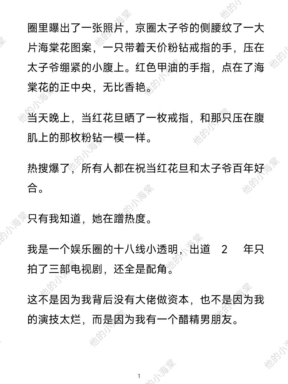 好看小说推荐 强烈推荐 他的小海棠