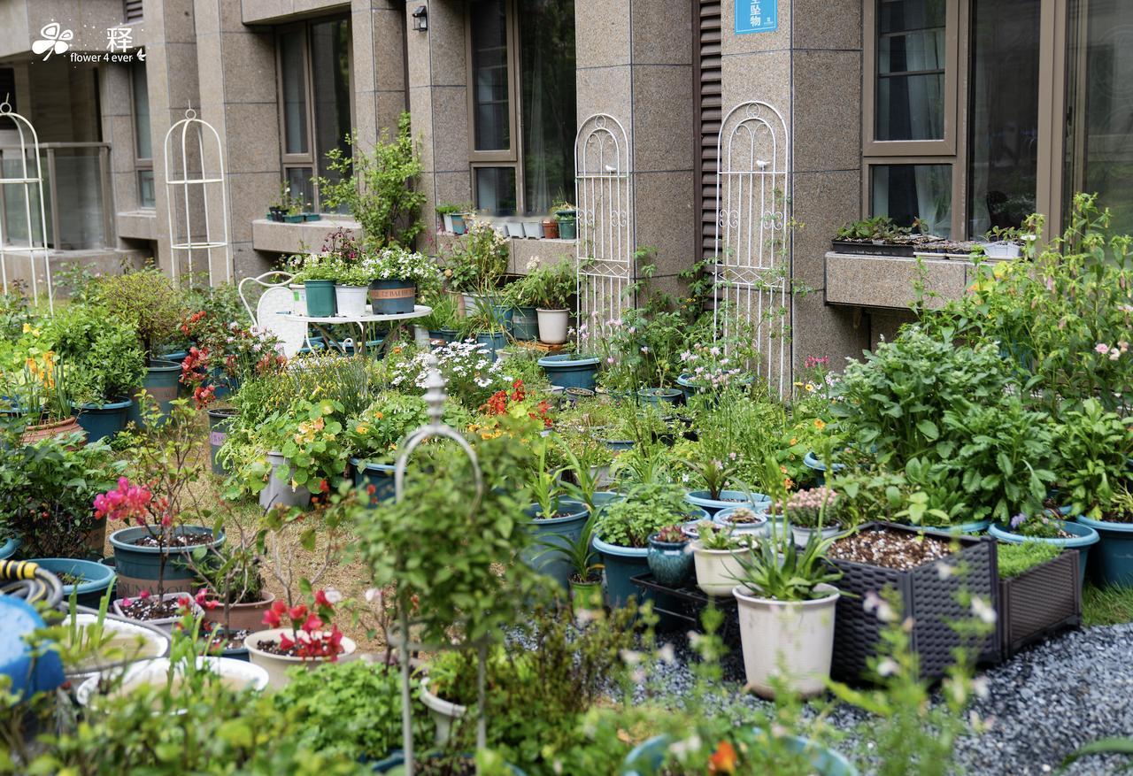 生活在福建版的鹤岗，发现这种没啥邻居的生活还是挺爽的电梯不拥挤，就跟自己独享的