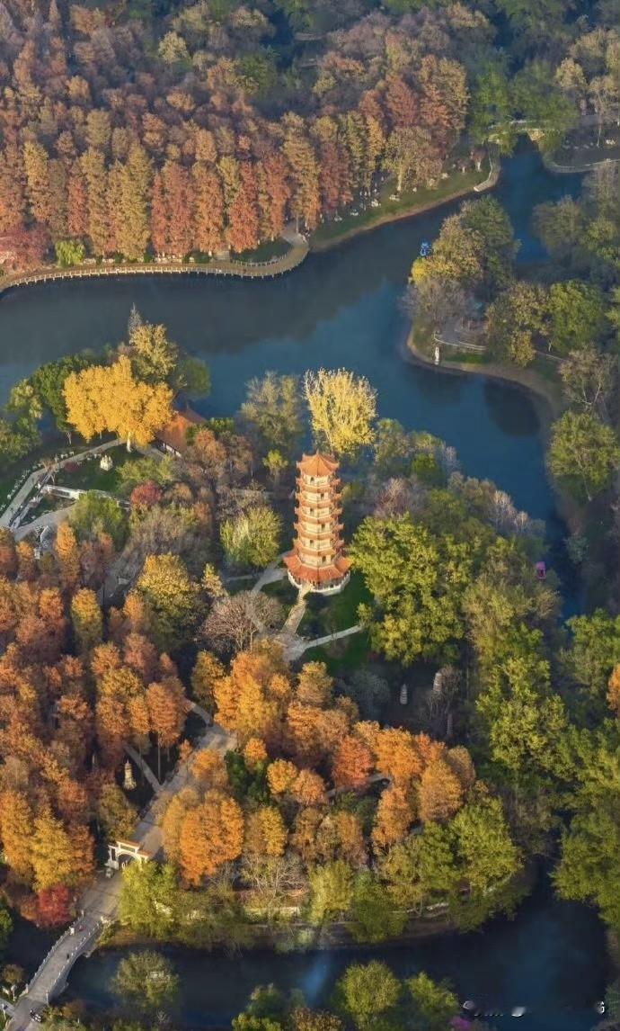 2025年即将迎来收官，武汉这座城市在这一年里不负众望，以实实在在的行动提交了一