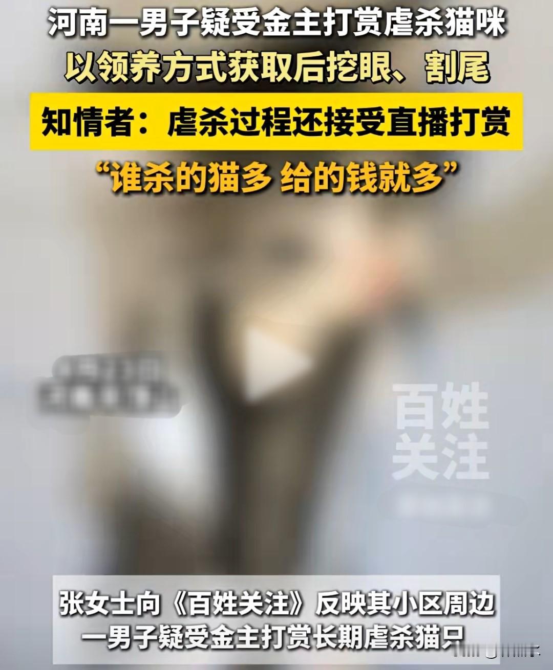 这还是人吗37岁男子马某以领养名义虐杀1500只流浪猫和宠物猫。他把