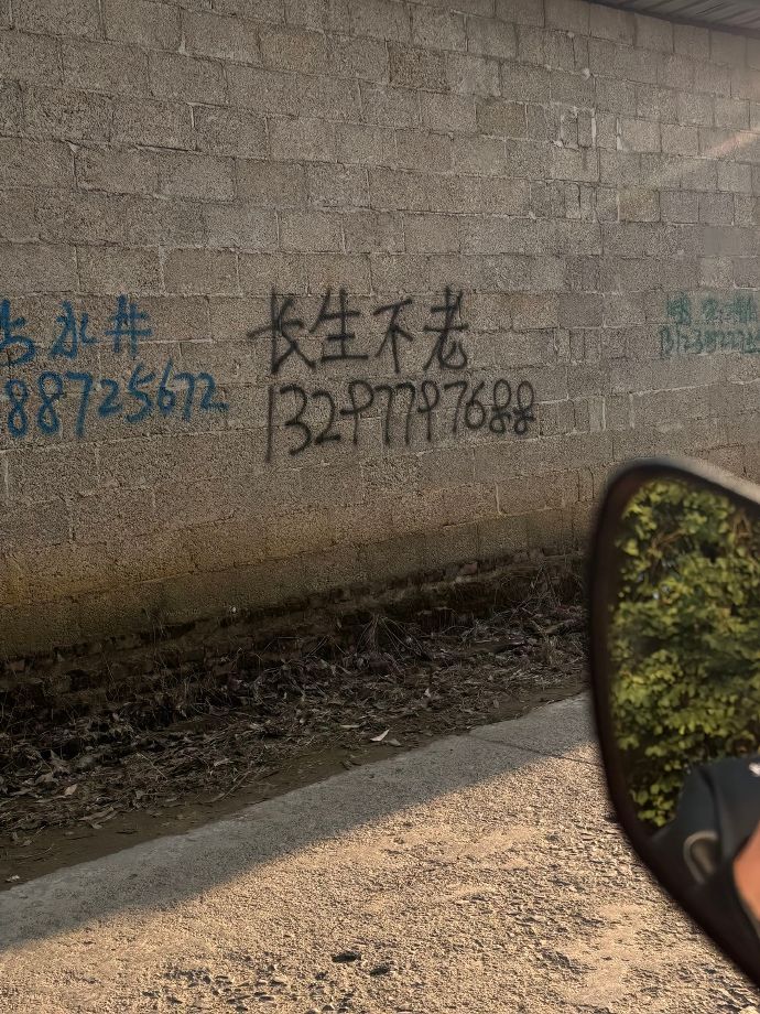 秦始皇就是吃了没电话的亏