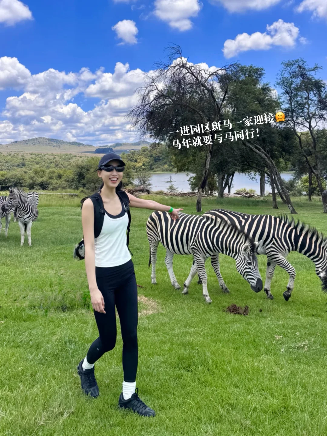 当你随便走进一个南非的公园