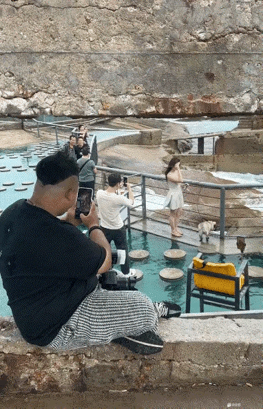 大哥是真心喜欢狗