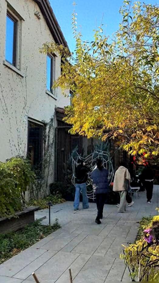 梅婷的家庭视频最近火了，北京别墅里藏着自家菜园。视频里公公种有机菜，梅婷