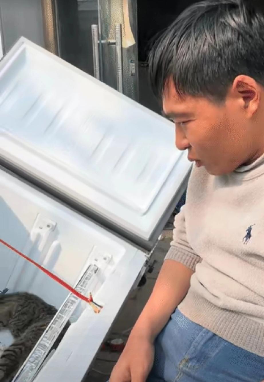笑不活了”近日河南一男子正在修理电器，他养的狸花跑了进去，还在里面认认真真的捣鼓
