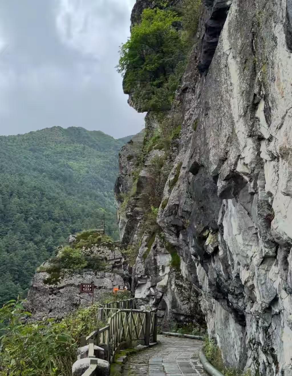 为什么要选择一个寒冷的冬季、一个悬岩峭壁的深山里结束自己的生命？如果我活得落迫清