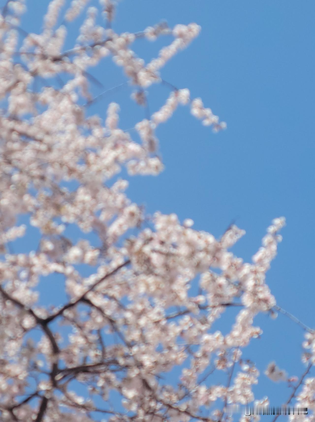 朋友女儿今年33岁，有一个很稳定工作，已经谈了一个条件很不错的男朋友，但是如今坚