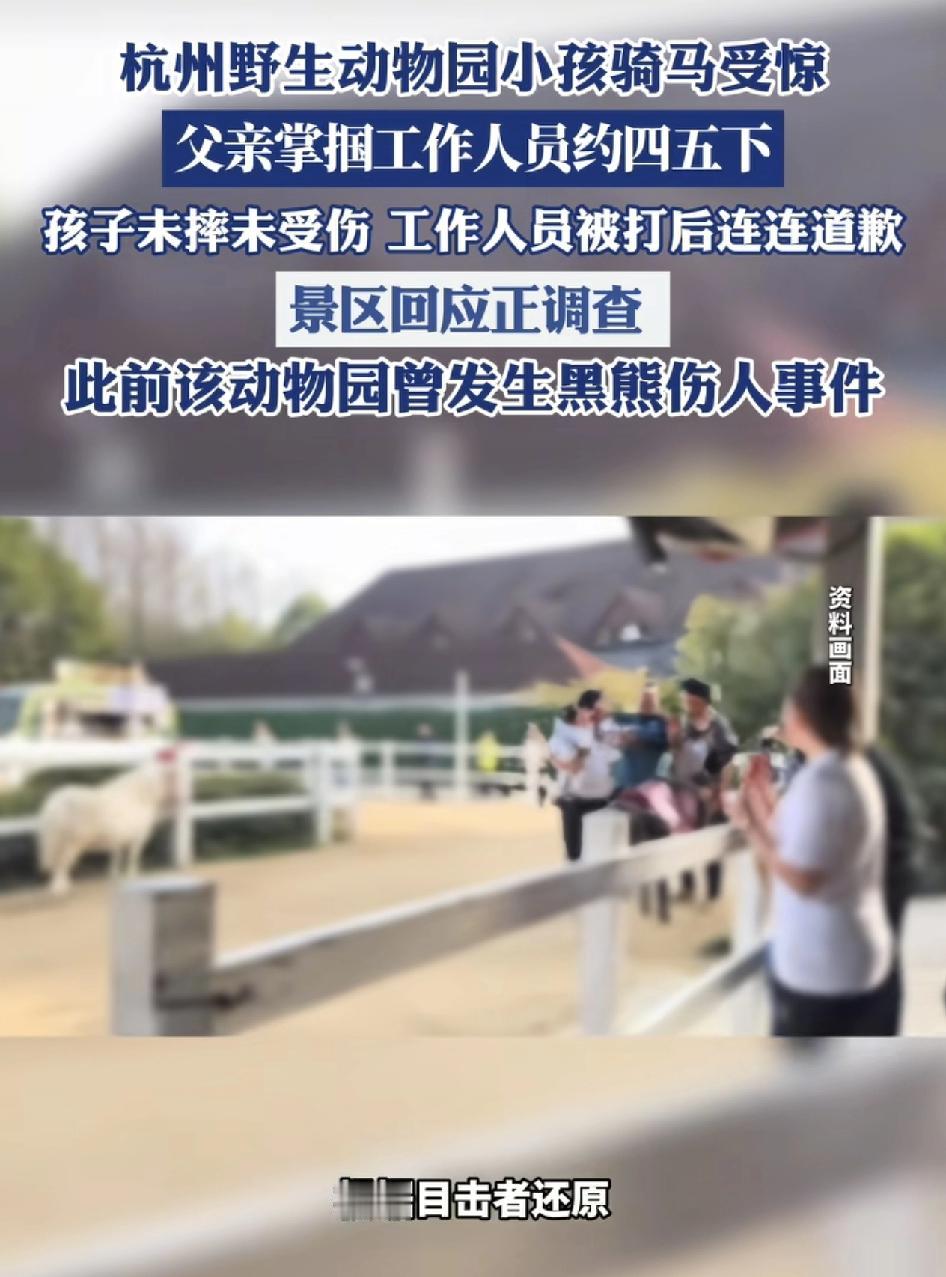 杭州野生动物园一小孩在家长的带领下来到马场骑小马，当时工作人员一手牵着马，一手扶