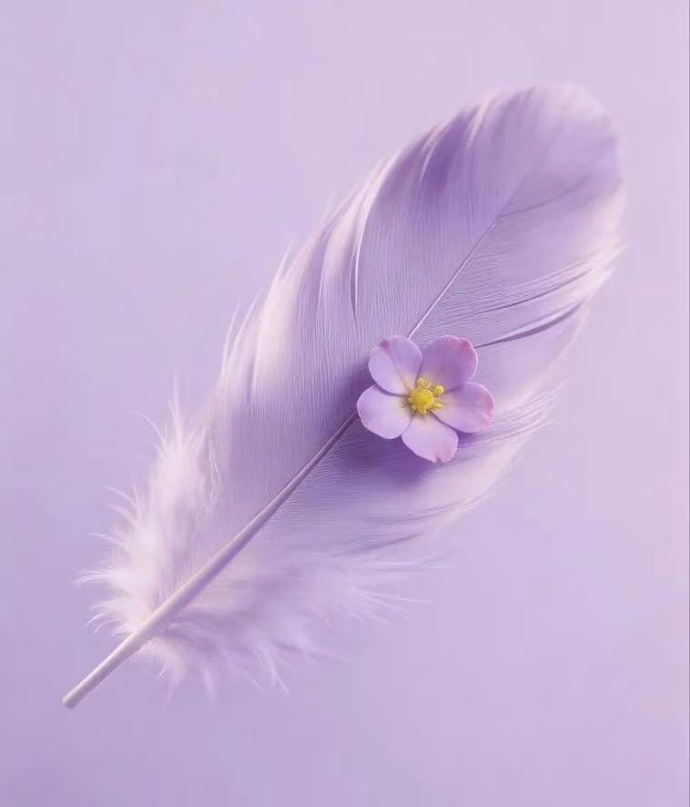 怎么能分辨人的真假？其实很好分辨。对你真的人，从来不给你任何压力，他们既