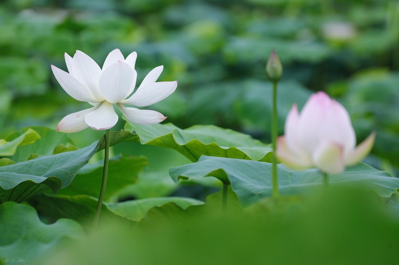 人这辈子，最重要的不是钱财物质，而是身边有人对你好，有真心实意的朋友，有不离不弃