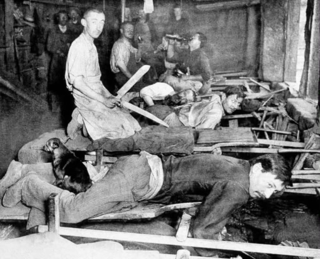 约1900年代的法国磨刀工。为了防止腰部损伤，他们趴着工作，并让狗坐在腿上取暖。