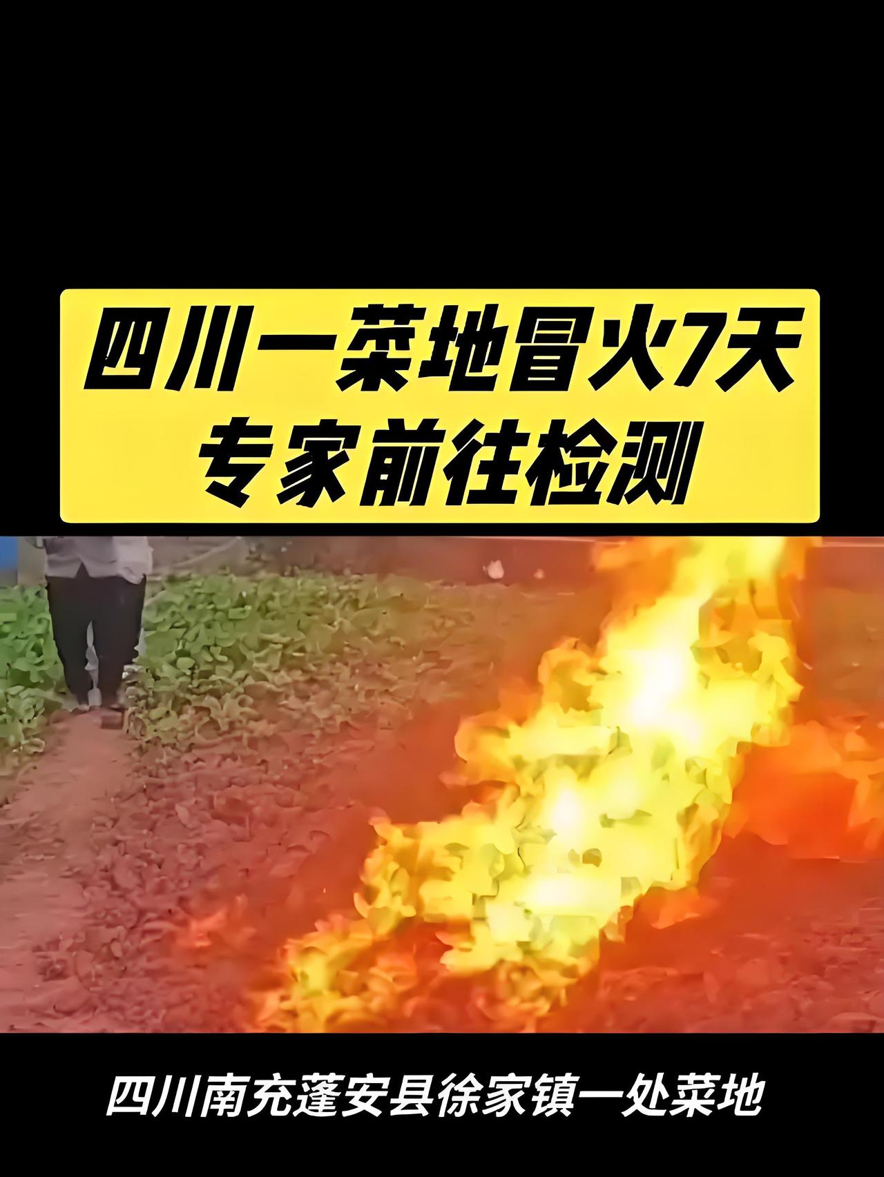四川菜地“喷火”7天不灭！雨水浇不熄，专家揭秘：不是天然气泄漏四川南充蓬安
