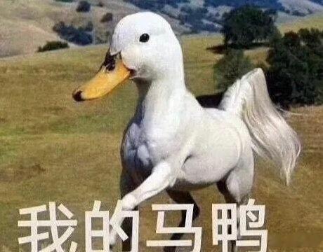 我的马鸭～～～冷门股补涨也是一道风景线！a股​​​