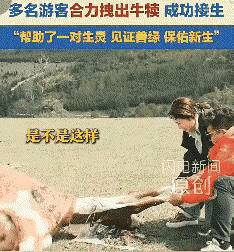 暖心一幕在阿勒泰草原上演，一场意外的生命救援，让旅途多了不一样的意义。