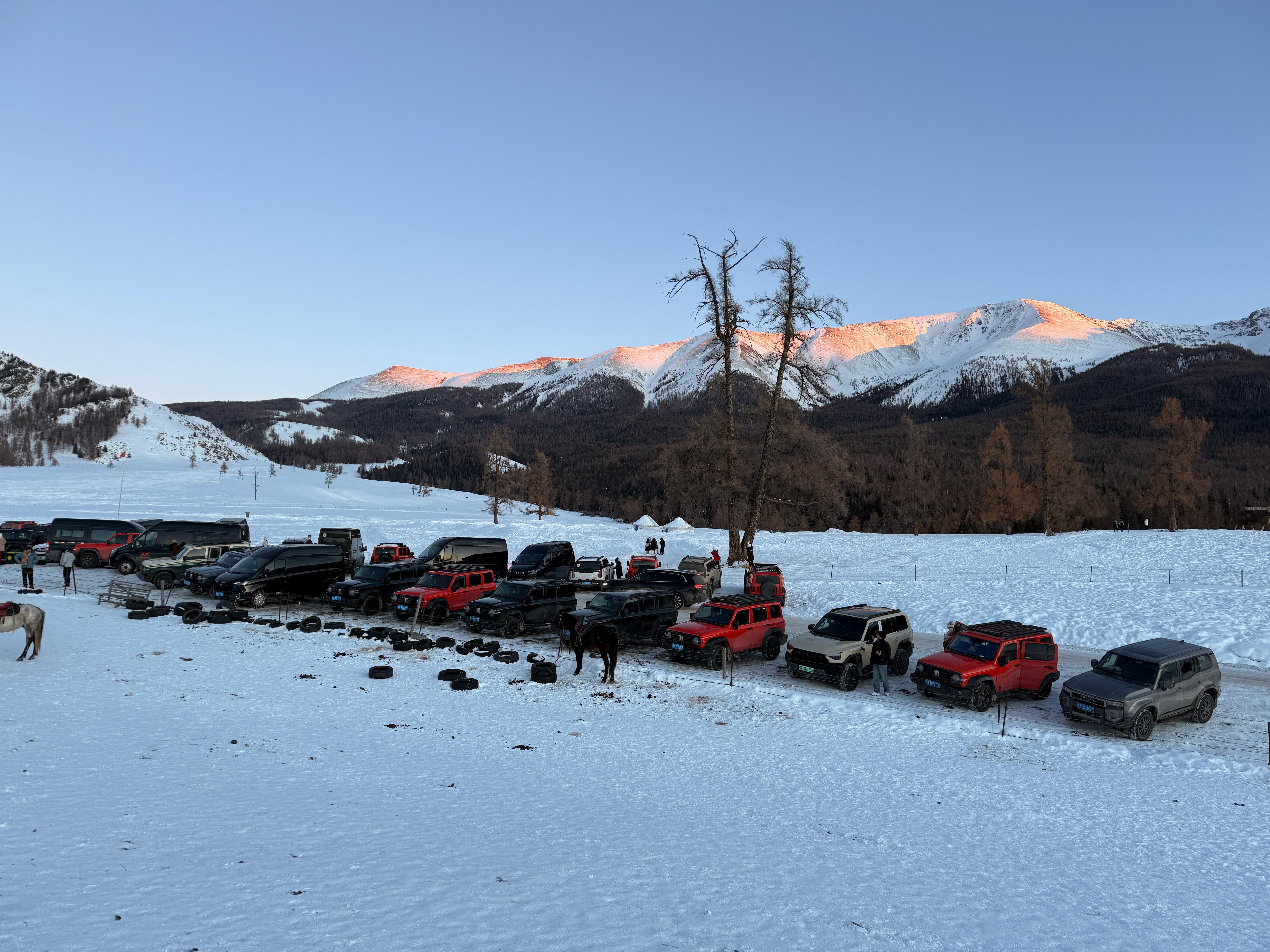 无奖竞猜图片中有几个坦克300