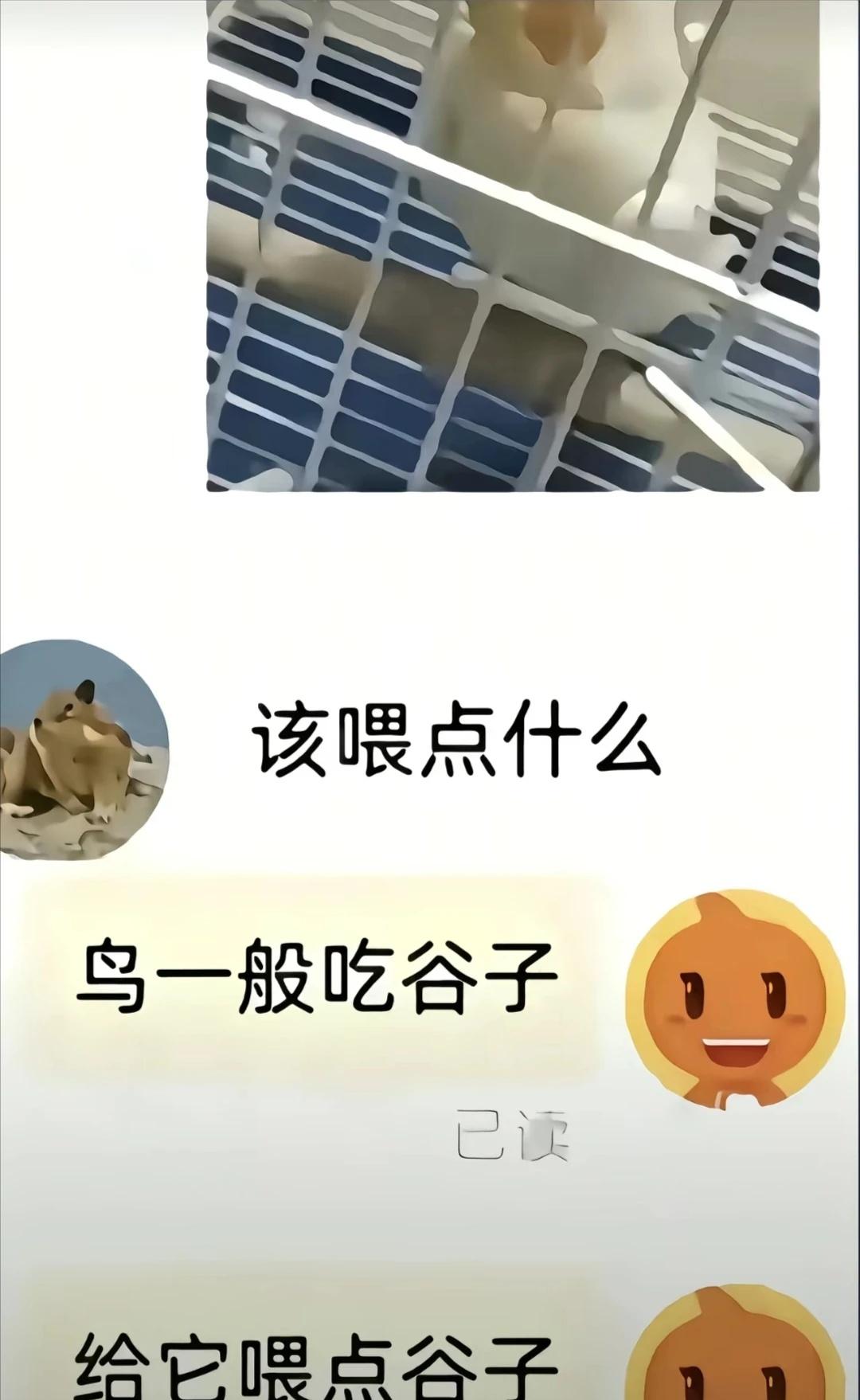 人类一败涂地人类一败涂地