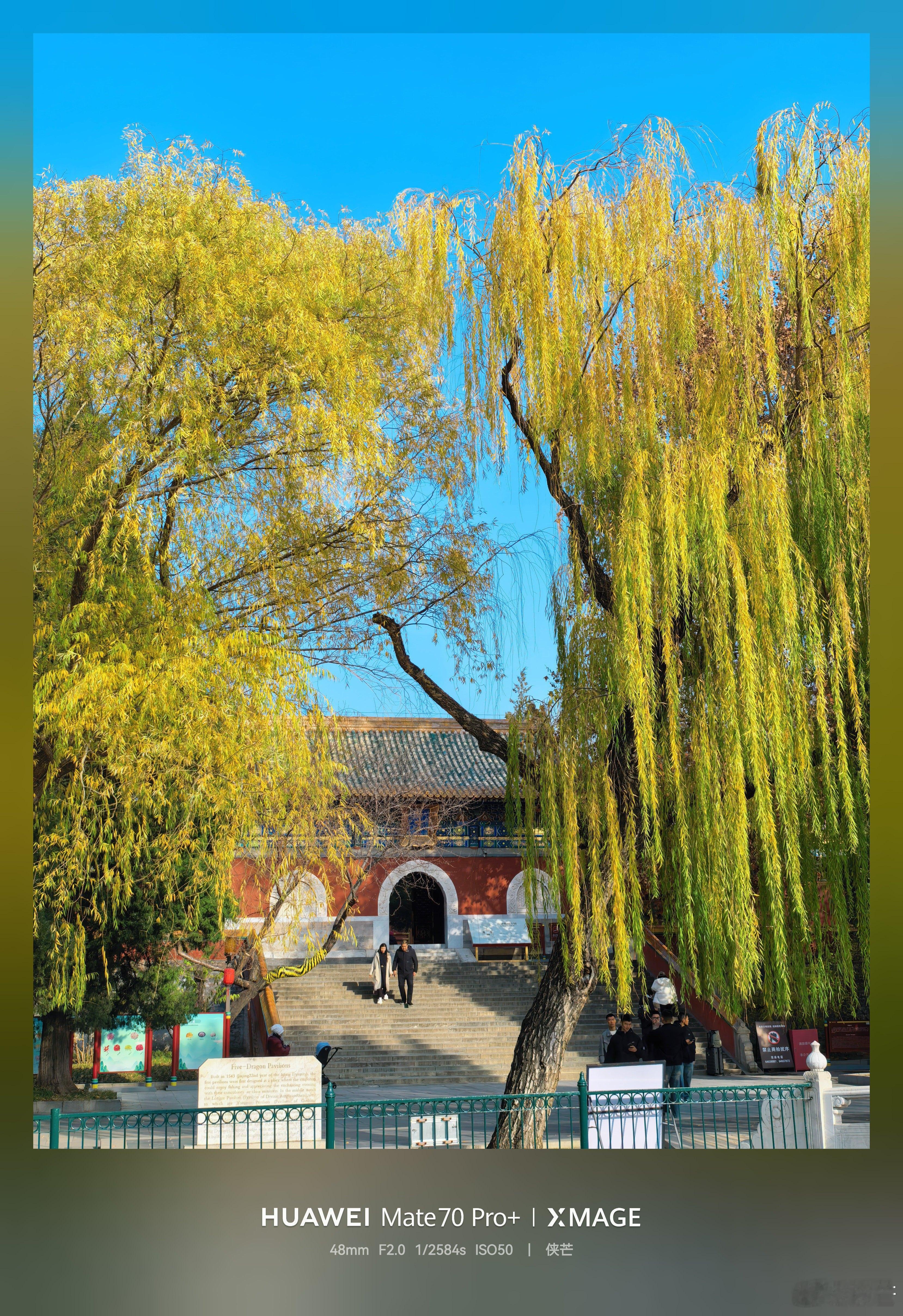 冬日北海公园黄叶垂落，檐角鎏金，湖心亭台倒映清波